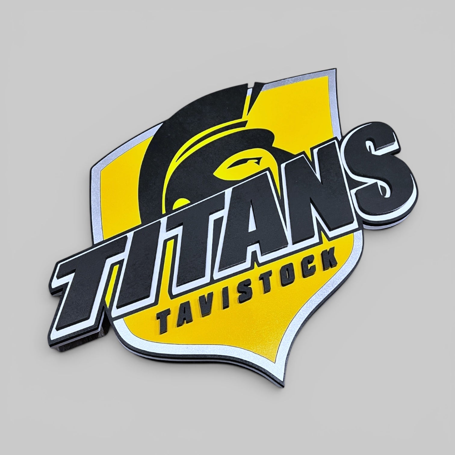 Tavistock Titans